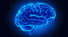 Timeline: Orígenes Históricos de la Psicología Cognitiva