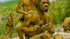 Timeline: PEDAGOGÍA