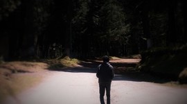 Timeline: Linea de Vida