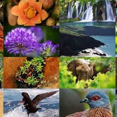 Timeline: Normatividad Ambiental en Colombia- Valentina Omaña