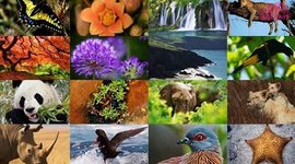 Timeline: Normatividad Ambiental en Colombia- Valentina Omaña