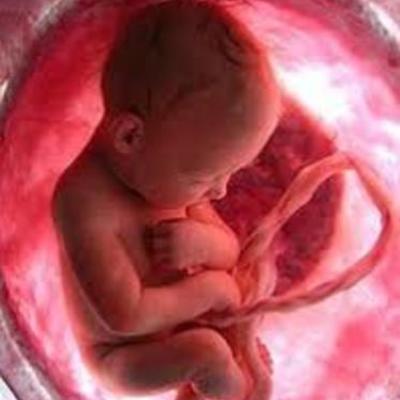 Timeline: ANTECEDENTES DEL ABORTO