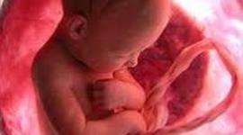 Timeline: ANTECEDENTES DEL ABORTO