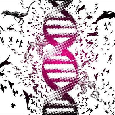 Timeline: HISTORIA DE LA EVOLUCIÓN