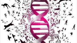 Timeline: HISTORIA DE LA EVOLUCIÓN