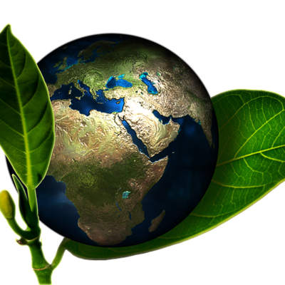 Timeline: NORMATIVIDAD AMBIENTAL COLOMBIANA. DIEGO CIFUENTES