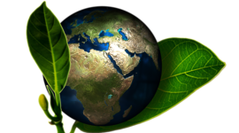 Timeline: NORMATIVIDAD AMBIENTAL COLOMBIANA. DIEGO CIFUENTES