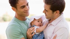 Timeline: Adopcion Homoparental