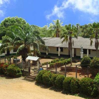 Timeline: EVOLUCIÓN TECNOLÓGICA