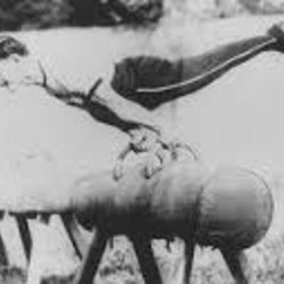 Timeline: Evolución Ed. Física, La Recreación y el Deporte.