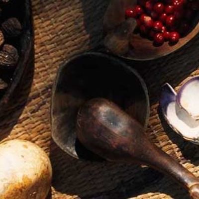 Timeline: Thanksgiving Timeline