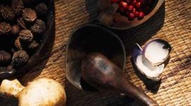 Timeline: Thanksgiving Timeline