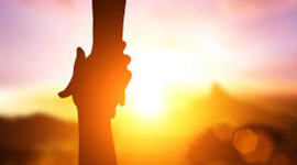 Timeline: The History of Malaya Fe