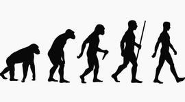 Timeline: TEORÍAS DE LA EVOLUCIÓN