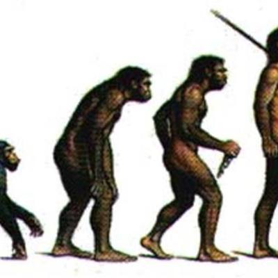 Timeline: HISTORIA DE LA EVOLUCION