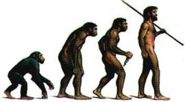 Timeline: HISTORIA DE LA EVOLUCION