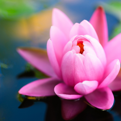 Timeline: abcdefghijklmnopqrstuvwxyz