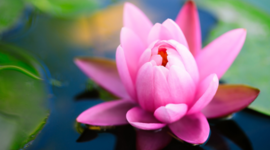 Timeline: abcdefghijklmnopqrstuvwxyz