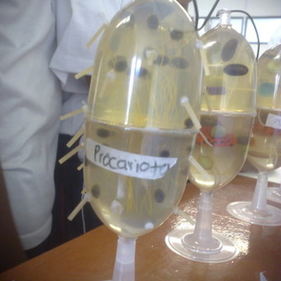 Timeline: Historia de la Célula