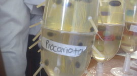 Timeline: Historia de la Célula