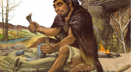 Timeline: Homo sapiens sapiens