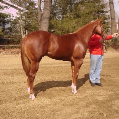 Timeline: Karel Guerra Investments