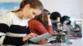 Timeline: Solución del problema de lectura en Colombia