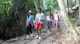 Timeline: autores en la independencia