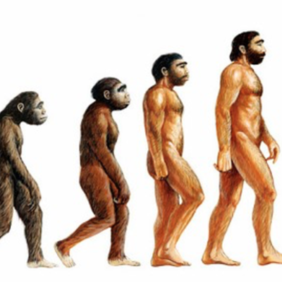 Timeline: LA   EVOLUCIÓN