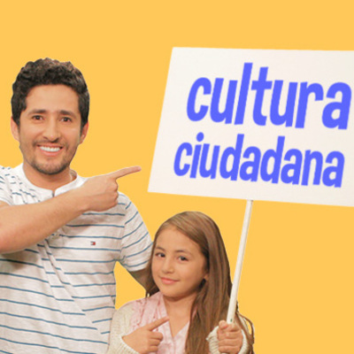 Timeline: CULTURA CIUDADANA
