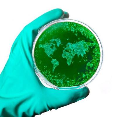 Timeline: Timeline of Pandemics