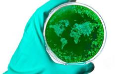 Timeline: Timeline of Pandemics