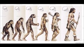 Timeline: La teoría de la evolución.