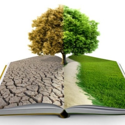 Timeline: historia de la educación ambiental