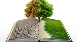 Timeline: historia de la educación ambiental