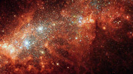 Timeline: linea musical