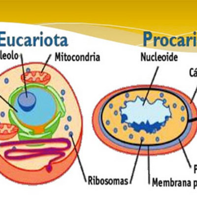 Timeline: HISTORIA DE LA CELULA