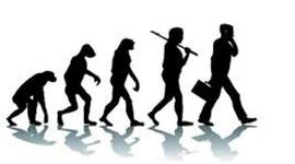 Timeline: TEORÍA DE LA EVOLUCIÓN.