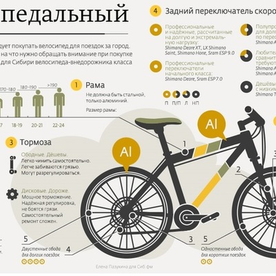 Timeline: Новые медиа