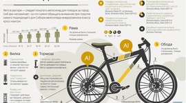 Timeline: Новые медиа