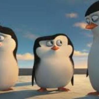 Timeline: implementación de las normas en Colombia