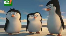 Timeline: implementación de las normas en Colombia