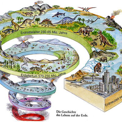 Timeline: Teixint el concepte d'evolució