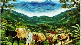 Timeline: EL DESPEGUE CAFETERO (1900 - 1928)