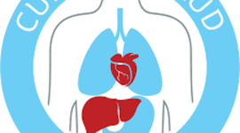 Timeline: SALUD(Hábitos Saludables)
