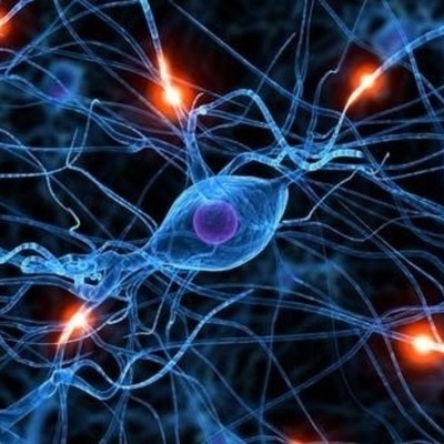 Timeline: Célula y su Historia Evolutiva