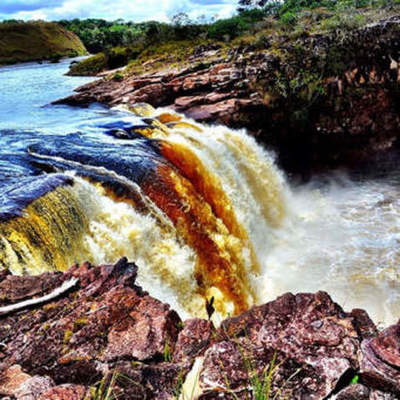 Timeline: LOS ECOSISTEMAS