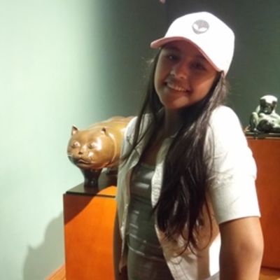 Timeline: MUSEO DE BOTERO