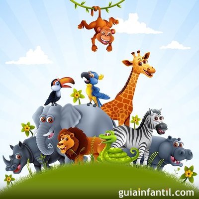 Timeline:  EL MUNDO DE LOS ANIMALES