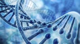 Timeline: Desde Mendel hasta el descubrimiento del material genético(ADN)